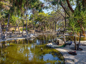 Apartment 3 bedrooms 80 m² in Guardamar del Segura, Spain — Find off-plan property or real estate resale directly from developers and owners GEOLN.COM. Photo 21