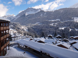 Apartment in the mountains in Switzerland, Gryon — Find off-plan property or real estate resale directly from developers and owners GEOLN.COM. Photo 3