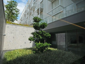 瑞士日内瓦的公寓 — 来自开发商和业主的房地产搜索引擎 GEOLN.COM. 照片 3