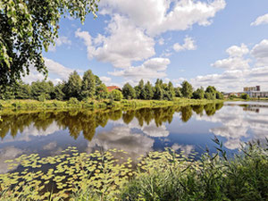 Inmuebles de lujo en los suburbios de Letonia, región de Adazi, Adazi — Encuentre propiedades fuera del plan o reventa de bienes inmuebles directamente de desarrolladores y propietarios GEOLN.COM. Foto 10