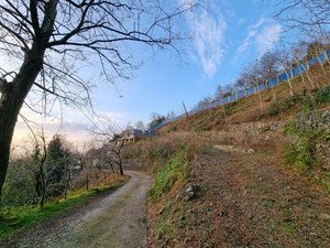 地块与建筑 — 来自开发商和业主的房地产搜索引擎 GEOLN.COM. 照片 2