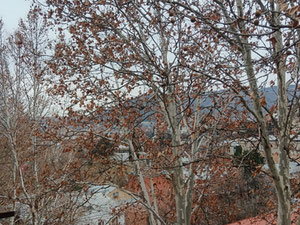 Продається квартира - Чугуреті, Старий Тбілісі — Пошуковик нерухомості від забудовників і власників GEOLN.COM. Фото 3