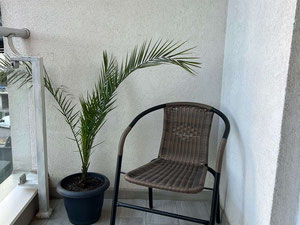 出售巴图米的公寓 — 来自开发商和业主的房地产搜索引擎 GEOLN.COM. 照片 12