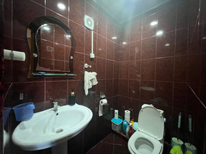 Схований діамант у Тбілісі — Пошуковик нерухомості від забудовників і власників GEOLN.COM. Фото 18