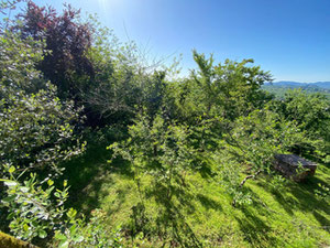 Будинок в Мелекидурі — Пошуковик нерухомості від забудовників і власників GEOLN.COM. Фото 3