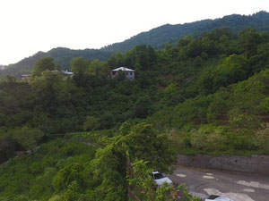 别墅在 Mtirala 国家公园 — 来自开发商和业主的房地产搜索引擎 GEOLN.COM. 照片 10