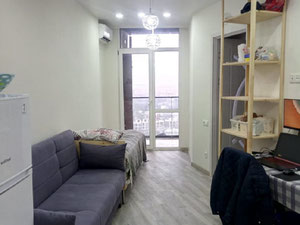 视野好的公寓 — 来自开发商和业主的房地产搜索引擎 GEOLN.COM. 照片 4