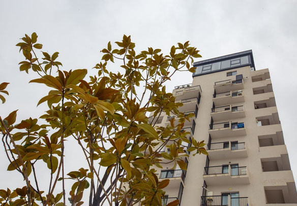 commercial property for sale