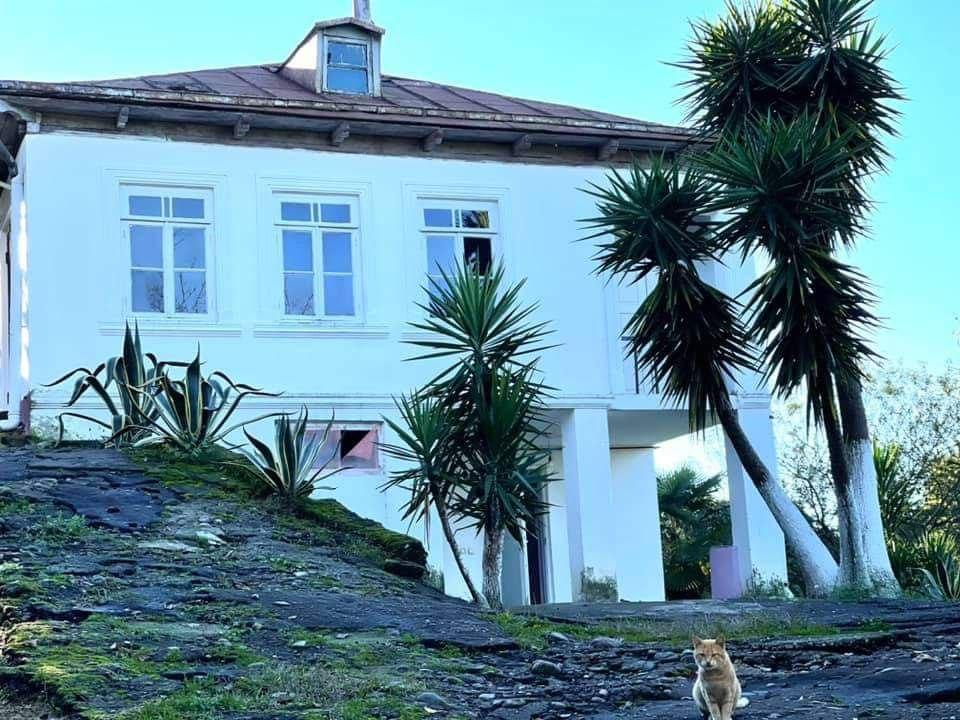 კომერციული მიწა მახინჯაურში — უძრავი ქონების ყიდვა და მფლო ბელებისგან GEOLN.COM. ფოტო 1