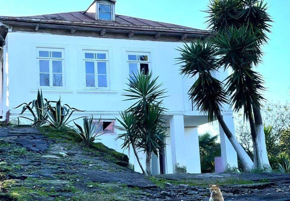 马欣贾里的商业用地