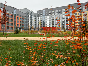 Real estate in ЖК Новая Боровая — look at the real estate search engine GEOLN.COM. Photo 7