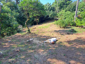 Plot in Makhinjauri with sunset view — Find off-plan property or real estate resale directly from developers and owners GEOLN.COM. Photo 5