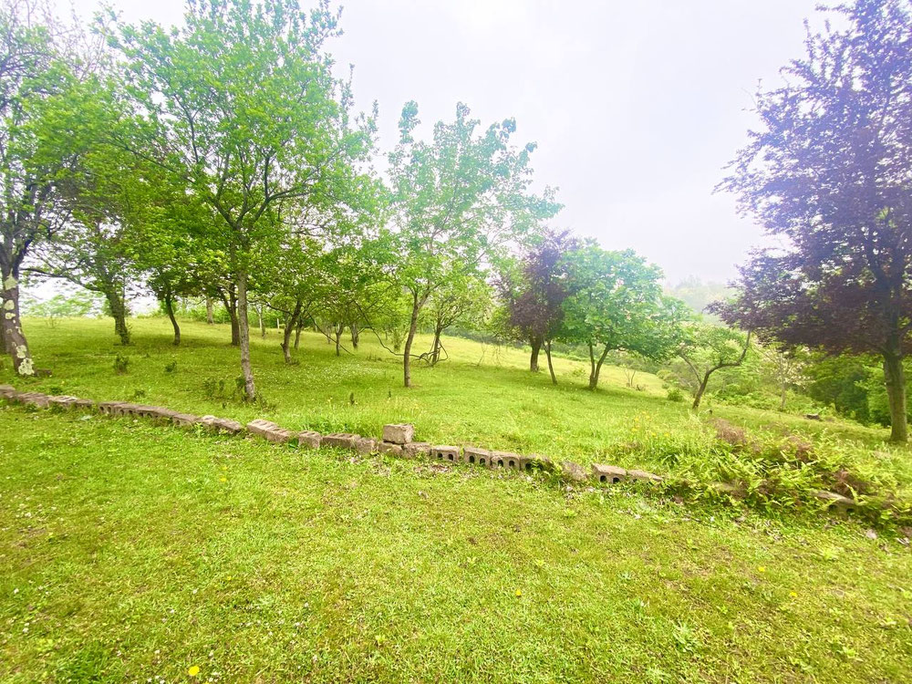 Земельна ділянка в Квирикі — Пошуковик нерухомості від забудовників і власників GEOLN.COM. Фото 1