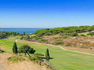 Villa 3 bedrooms 298 m² in Calahonda, Spain — Find off-plan property or real estate resale directly from developers and owners GEOLN.COM. Photo 5