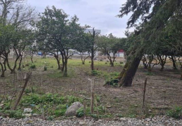 Продається ділянка в Кахабері