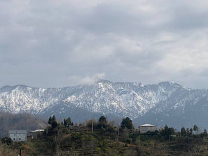 Будинок в селищі Дагва — Пошуковик нерухомості від забудовників і власників GEOLN.COM. Фото 15