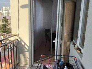 巴统公寓 — 来自开发商和业主的房地产搜索引擎 GEOLN.COM. 照片 10