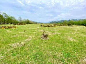 Hutsubani'de Arazi Parseli — Sahiplerden yada inşaatcilardan mülkiyet arama GEOLN.COM. Fotoğraf 2