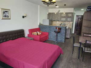 1-room apartment for sale — Find off-plan property or real estate resale directly from developers and owners GEOLN.COM. Photo 2