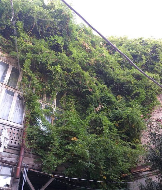 1,5 кімнатна квартира на Мтацминда. Квартира без посередника в Тбілісі — Пошуковик нерухомості від забудовників і власників GEOLN.COM. Фото 1