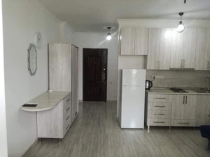 1-room apartment for sale — Find off-plan property or real estate resale directly from developers and owners GEOLN.COM. Photo 4