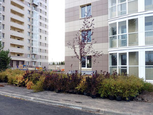 房地产在 Yuzhny Park — look at the real estate search engine GEOLN.COM. 照片 4