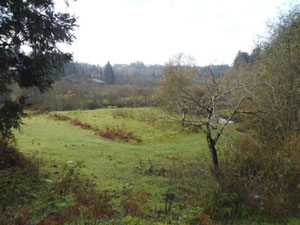 Bobokvati 地块 — 来自开发商和业主的房地产搜索引擎 GEOLN.COM. 照片 2