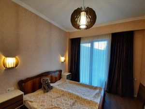 Ortachala 2间卧室的公寓。买公寓在第比利斯，Ortachala — 来自开发商和业主的房地产搜索引擎 GEOLN.COM. 照片 9