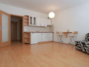 捷克共和国, 布拉格, Joy Sale 公寓 — 来自开发商和业主的房地产搜索引擎 GEOLN.COM. 照片 3