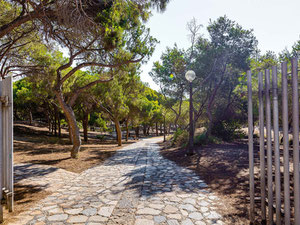 Apartment 4 bedrooms 146 m² in Guardamar del Segura, Spain — Find off-plan property or real estate resale directly from developers and owners GEOLN.COM. Photo 7