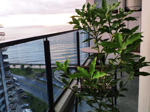 出售两房公寓 — 来自开发商和业主的房地产搜索引擎 GEOLN.COM. 照片 9