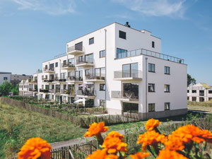 Nieruchomości w Filteint — spójrz na wyszukiwarkę nieruchomości GEOLN.COM. Zdjęcie 6