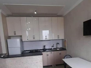 巴统公寓 — 来自开发商和业主的房地产搜索引擎 GEOLN.COM. 照片 3