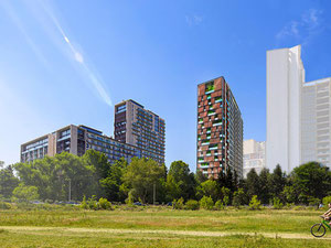 Real estate in Domus Bagebi 2 — look at the real estate search engine GEOLN.COM. Photo 3