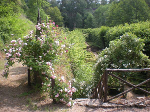 法国城堡，卢瓦尔河谷，布尔日 — 来自开发商和业主的房地产搜索引擎 GEOLN.COM. 照片 2