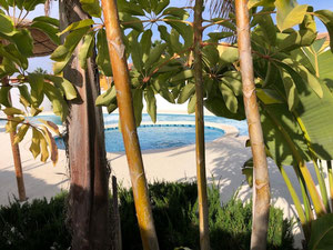 וילה 3 חדרי שינה 116 מ"ר בסן פדרו דל פינטאר, ספרד — חיפוש נדל"ן מפרטי ומקבלן GEOLN.COM. תמונה 15