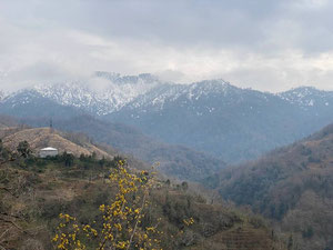 Будинок в селищі Дагва — Пошуковик нерухомості від забудовників і власників GEOLN.COM. Фото 16