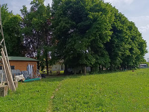 Villa near Padua (Italy) – new home in a prestigious area of Veneto — Find off-plan property or real estate resale directly from developers and owners GEOLN.COM. Photo 10