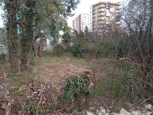 巴统土地出售 — 来自开发商和业主的房地产搜索引擎 GEOLN.COM. 照片 4