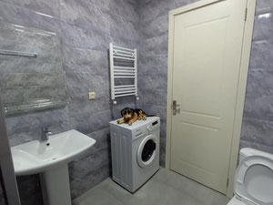 דירת 2 חדרים למכירה — חיפוש נדל"ן מפרטי ומקבלן GEOLN.COM. תמונה 6