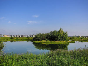 Нерухомість в Starling at Big Lake — дивіться на пошуковику нерухомості GEOLN.COM. Фото 2