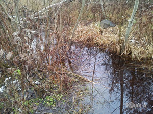 拉脱维亚，Skriveri 地区，Skriveri 出售的地块 — 来自开发商和业主的房地产搜索引擎 GEOLN.COM. 照片 14