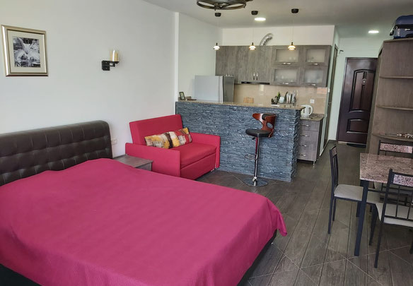 იყიდება 1 ოთახიანი ბინა