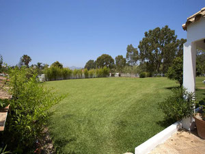 ვილა 7 საძინებელი 700 მ² გუადალმინა ბახაში, ესპანეთი — უძრავი ქონების ყიდვა და მფლო ბელებისგან GEOLN.COM. ფოტო 48