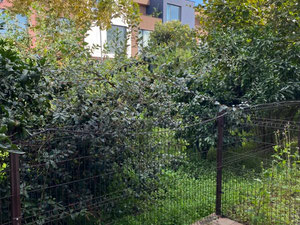 在巴图米出租的房屋/别墅 — 来自开发商和业主的房地产搜索引擎 GEOLN.COM. 照片 11