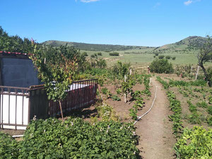 Продается частный дом в Тбилиси. — Поисковик недвижимости от застройщиков и собственников GEOLN.COM. Фото 9