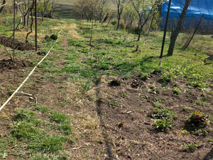 Продается частный дом в Тбилиси. — Поисковик недвижимости от застройщиков и собственников GEOLN.COM. Фото 3