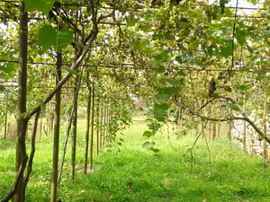 科布莱季待售房屋 — 来自开发商和业主的房地产搜索引擎 GEOLN.COM. 照片 13