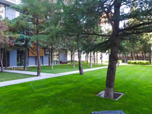 Пентхаус в Vake Hills — Поисковик недвижимости от застройщиков и собственников GEOLN.COM. Фото 8