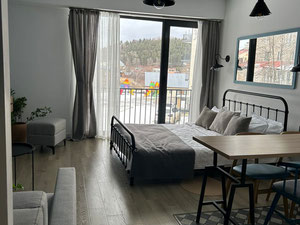 Продаётся студия в Бакуриани Rimond Residence — חיפוש נדל"ן מפרטי ומקבלן GEOLN.COM. תמונה 4